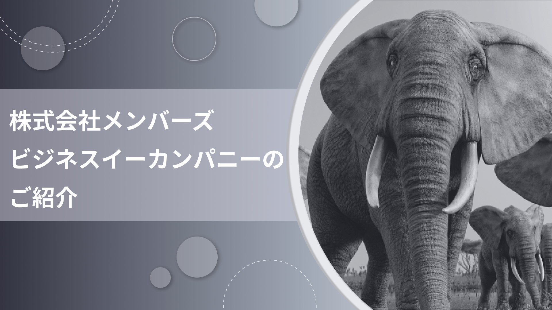 株式会社メンバーズ ビジネスイーカンパニーのご紹介